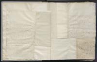 1_335_0_0_268-3_0012