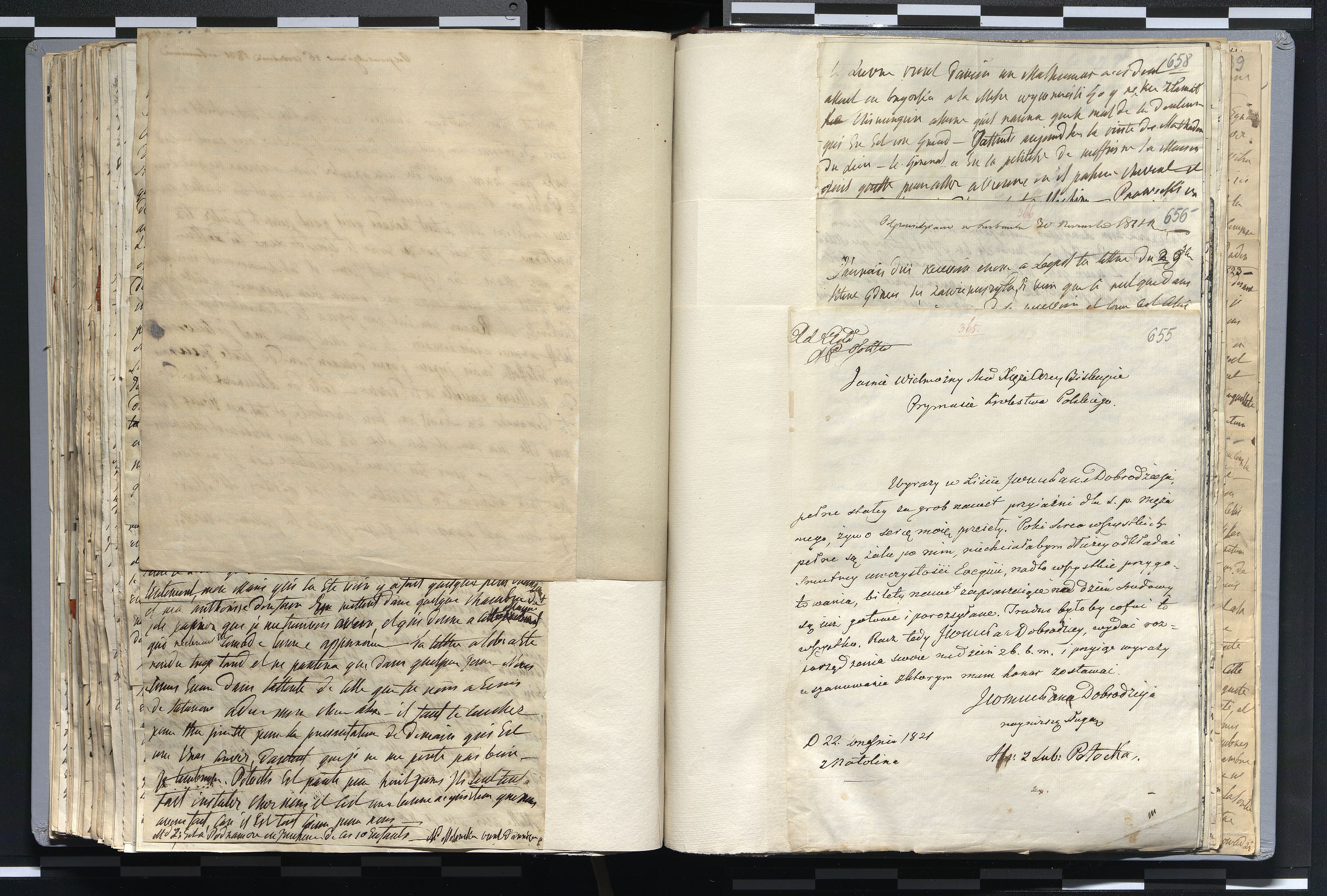 1_335_0_0_272.2_0351