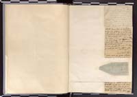 1_335_0_0_272.2_0001