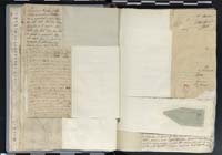 1_335_0_0_272.2_0046