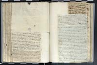 1_335_0_0_272.2_0248