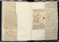 1_335_0_0_272.3_0008