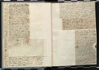 1_335_0_0_272.3_0041