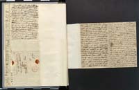 1_335_0_0_272.3_0042