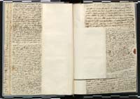 1_335_0_0_272.3_0061