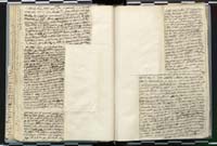 1_335_0_0_272.3_0109