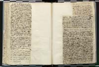 1_335_0_0_272.3_0116