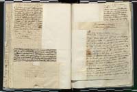 1_335_0_0_272.3_0119