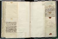 1_335_0_0_272.3_0126