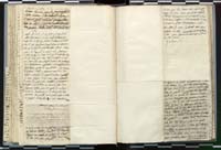 1_335_0_0_272.3_0136