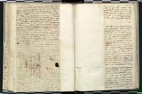 1_335_0_0_272.3_0171