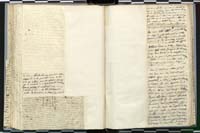 1_335_0_0_272.3_0173