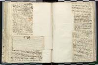 1_335_0_0_272.3_0188