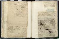 1_335_0_0_272.3_0197