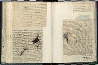 1_335_0_0_272.3_0198