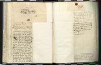 1_335_0_0_272.3_0205