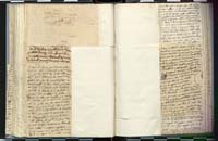 1_335_0_0_272.3_0217