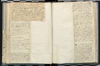 1_335_0_0_272.3_0236