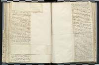 1_335_0_0_272.3_0244