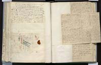 1_335_0_0_272.3_0253