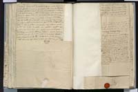 1_335_0_0_272.3_0281