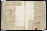 1_335_0_0_272.3_0283