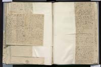 1_335_0_0_272.3_0286