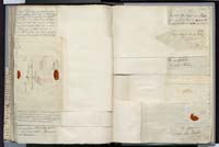 1_335_0_0_272.3_0354