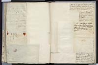 1_335_0_0_272.3_0356