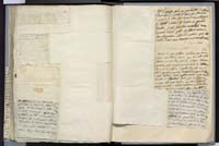 1_335_0_0_272.3_0359