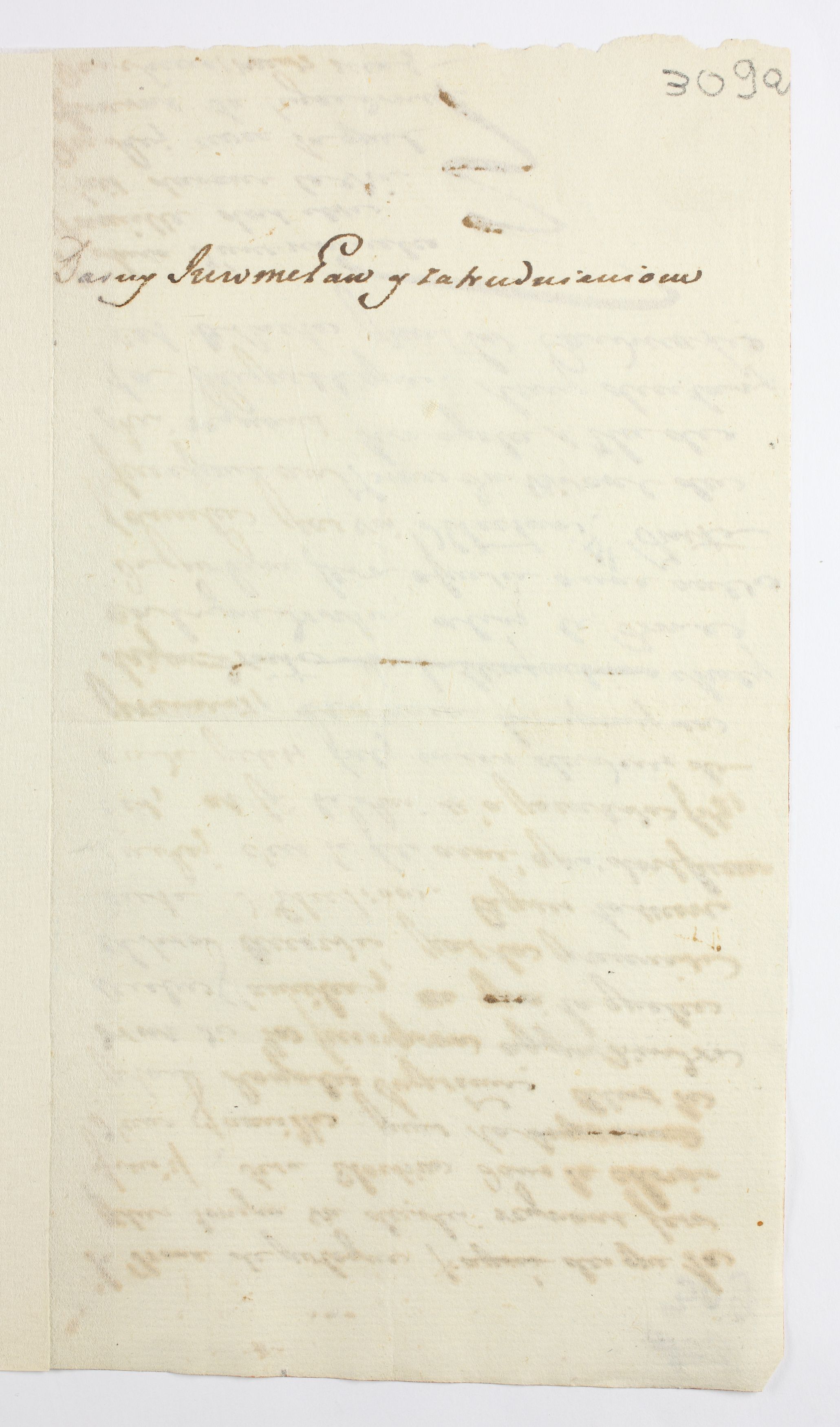 PL_1_335_273-2_0309a