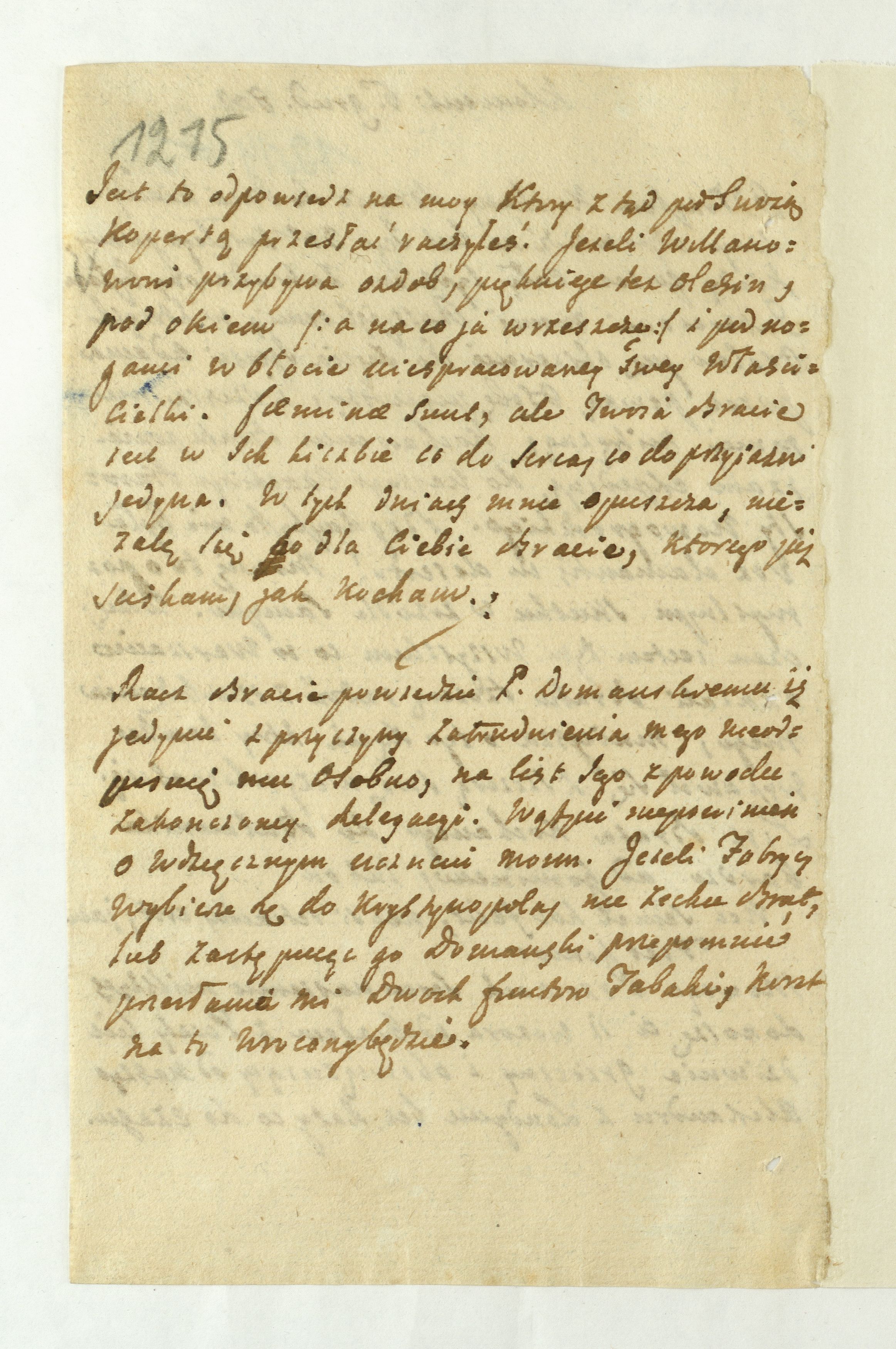 PL_1_335_279b-1_1215