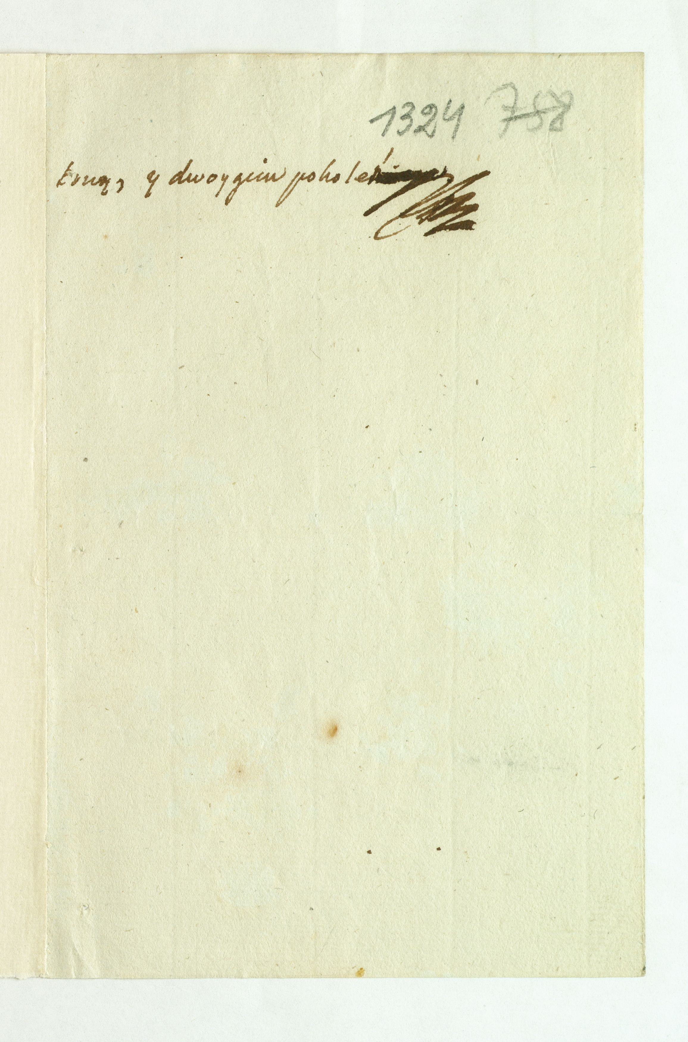 PL_1_335_279b-1_1324