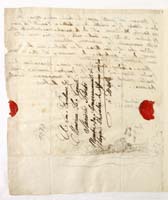 PL_1_335_279b-1_1070