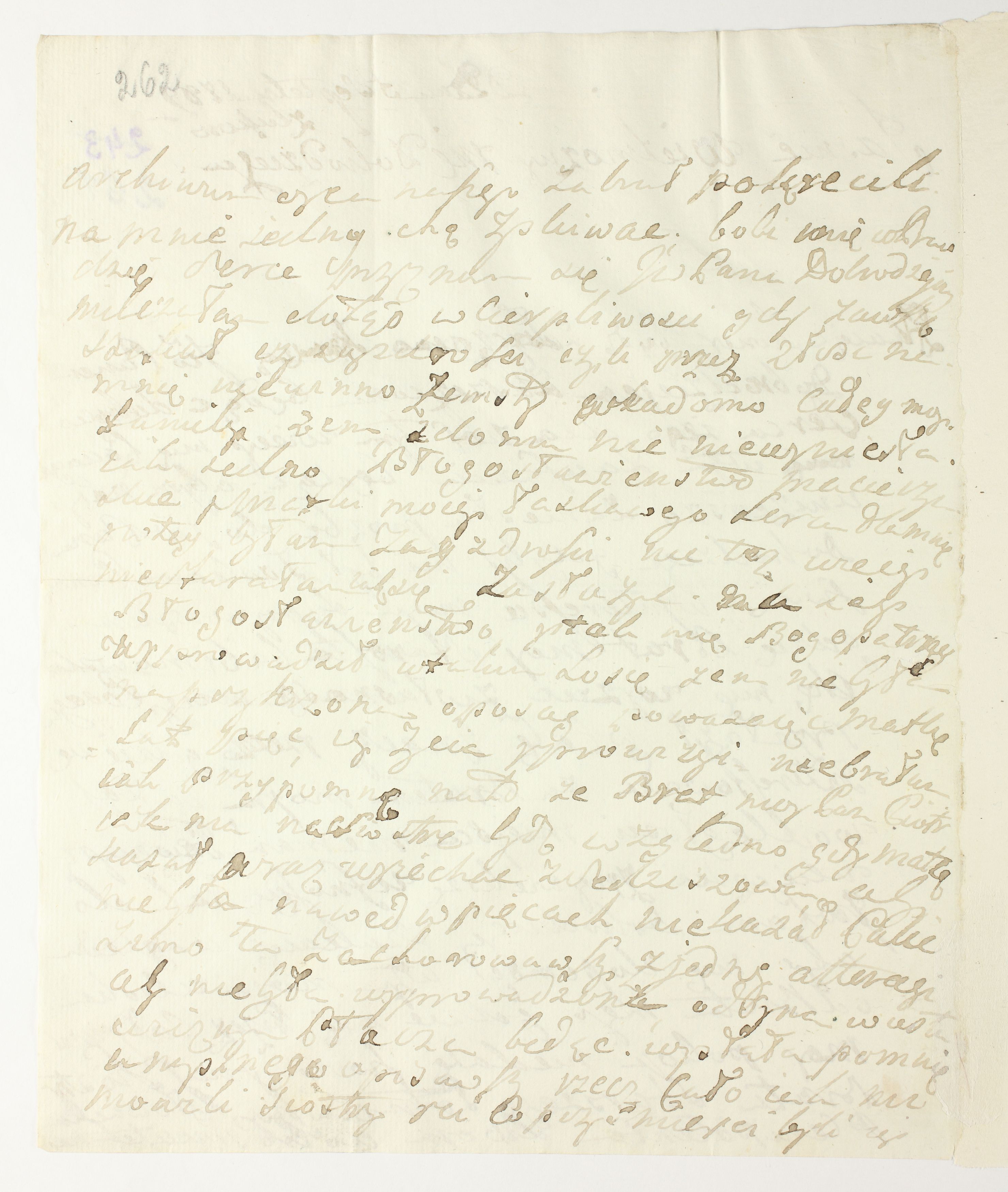 PL_1_335_279b-5_0262