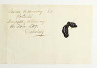 PL_1_335_279b-5_0053