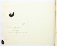 PL_1_335_279b-5_0513