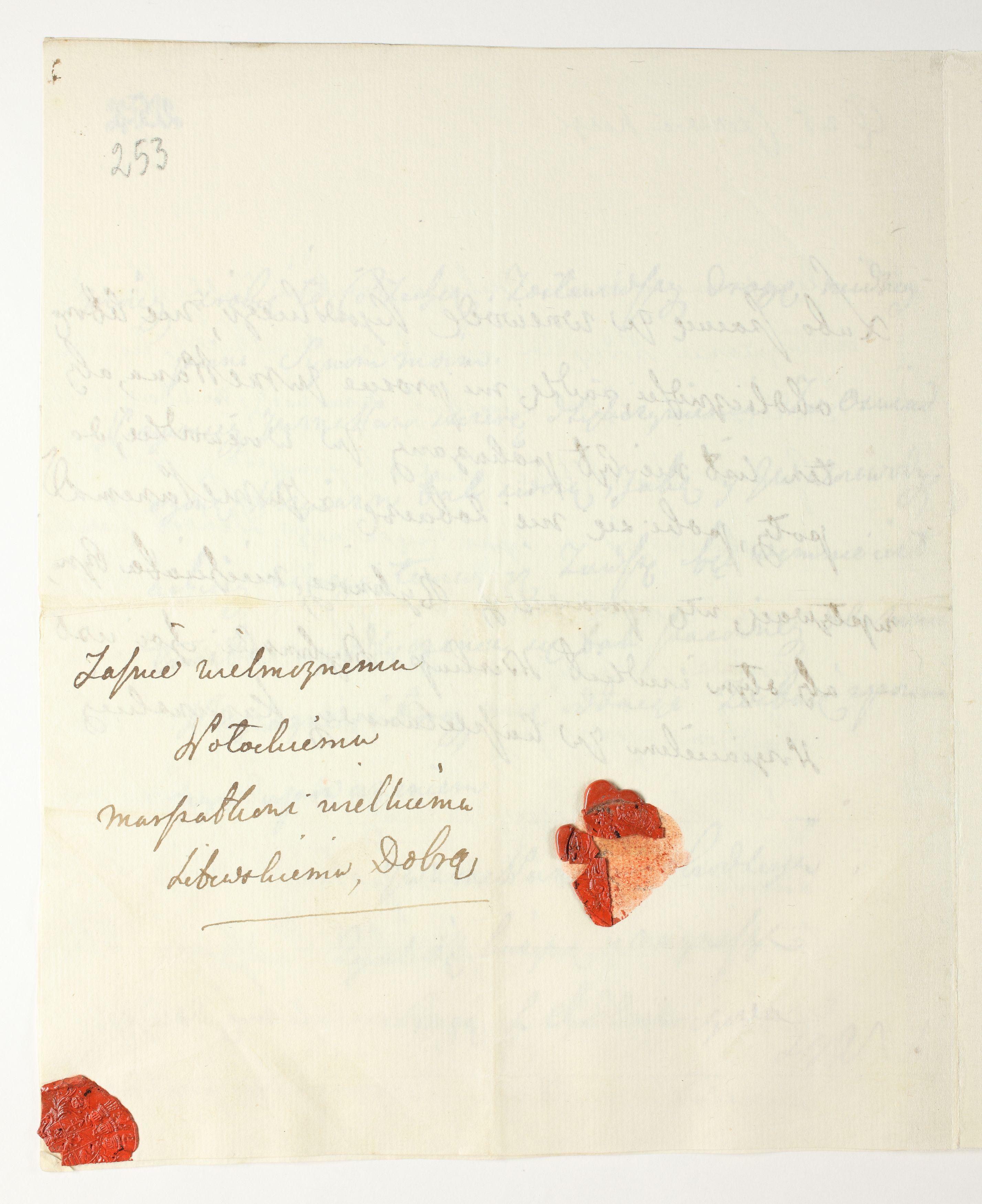 PL_1_335_279b-6_0253