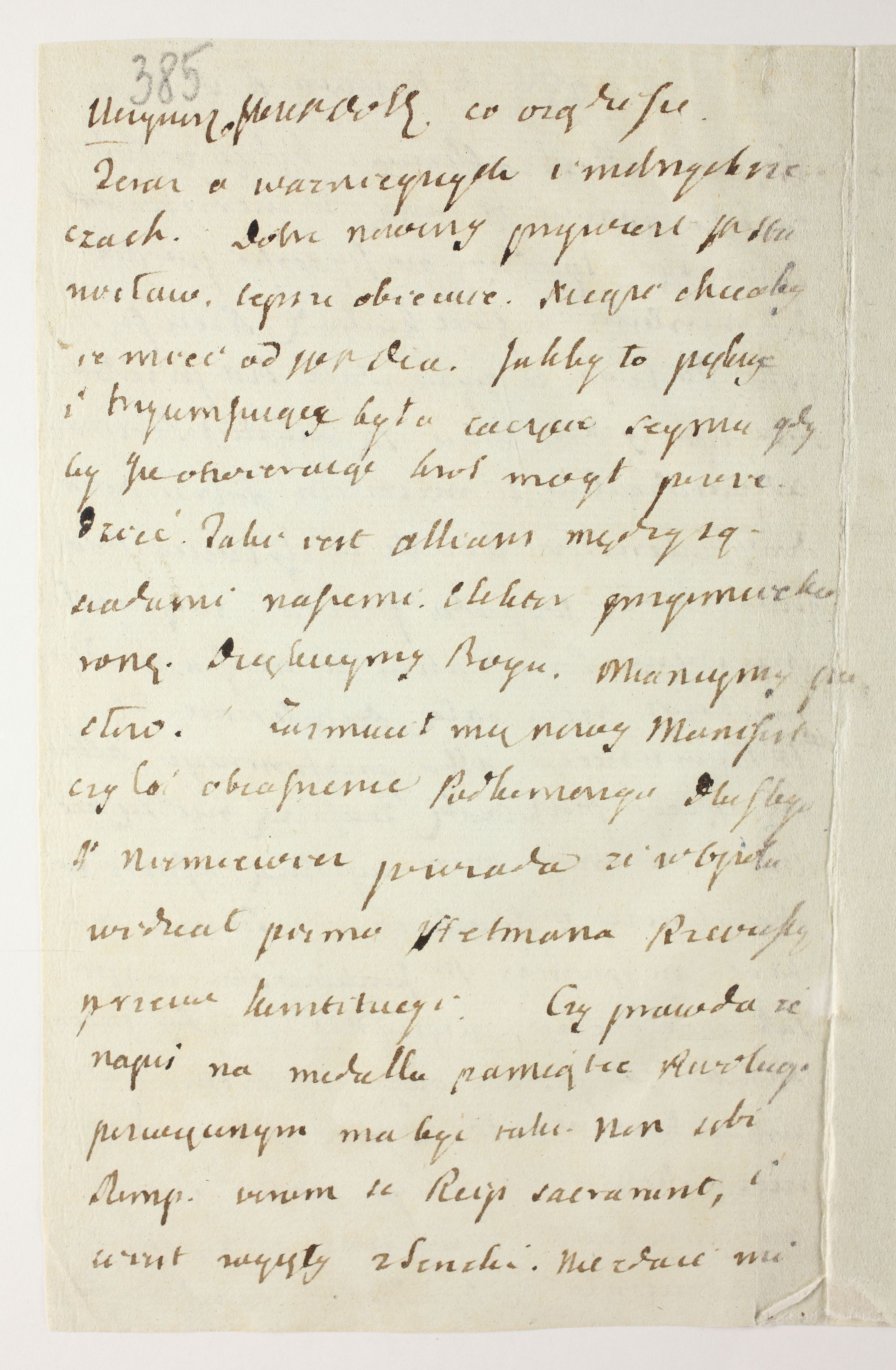 PL_1_335_279b-6_0385