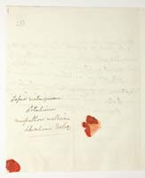 PL_1_335_279b-6_0253