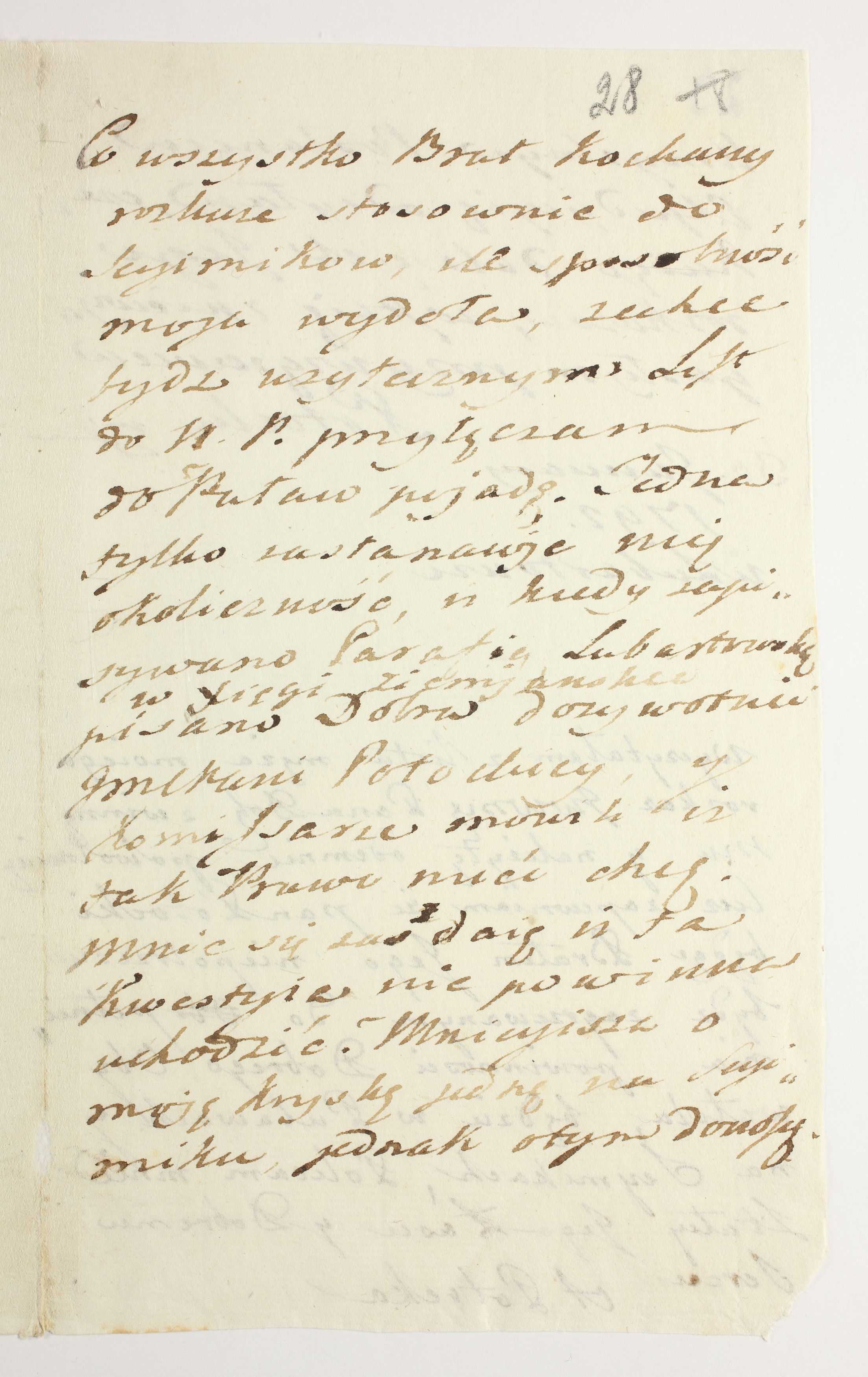 PL_1_335_279b-7_0028