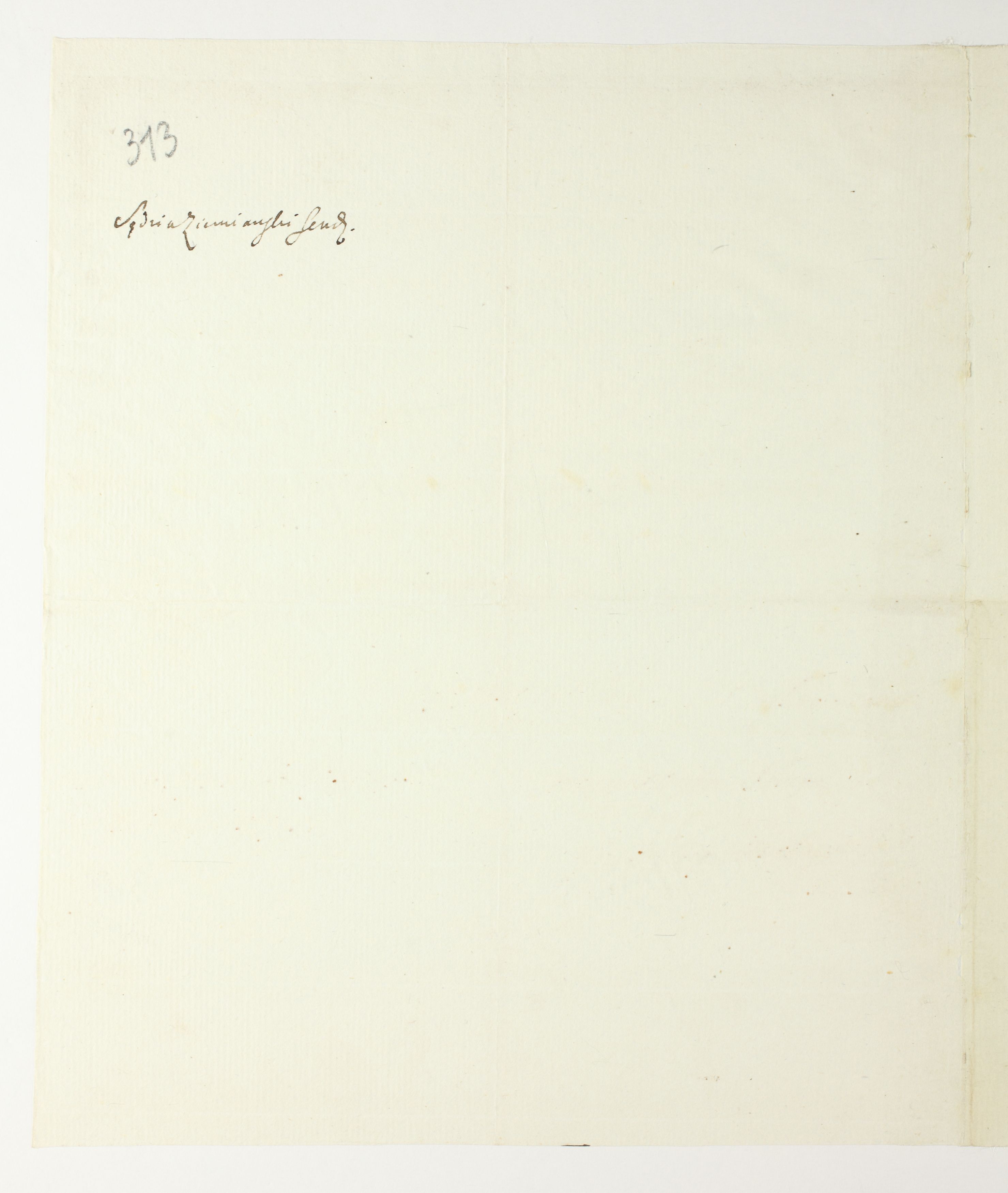 PL_1_335_279b-7_0313