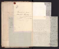 1_335_0_0_291.10_0011