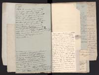 1_335_0_0_291.10_0103