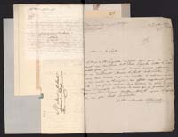 1_335_0_0_291.10_0205