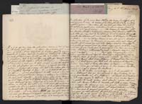 1_335_0_0_291.10_0365