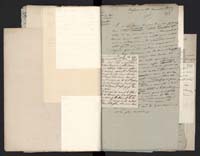 1_335_0_0_291.10_0462