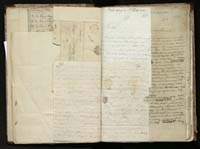 1_335_0_0_291.12_0080