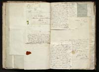 1_335_0_0_291.12_0158