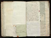 1_335_0_0_291.12_0181